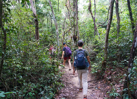 Phnom Kulen Trekking - 3 Days