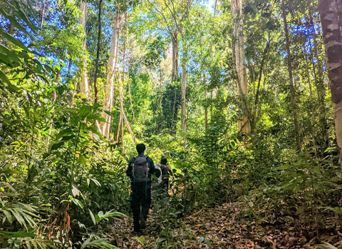 Ratanakiri Trekking