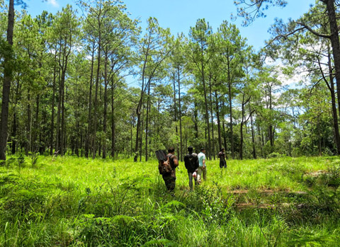 Stueng Porpok & Kirirom Trekking