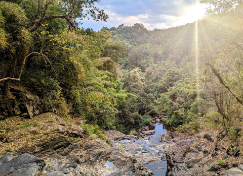 Virachey National Park Trekking