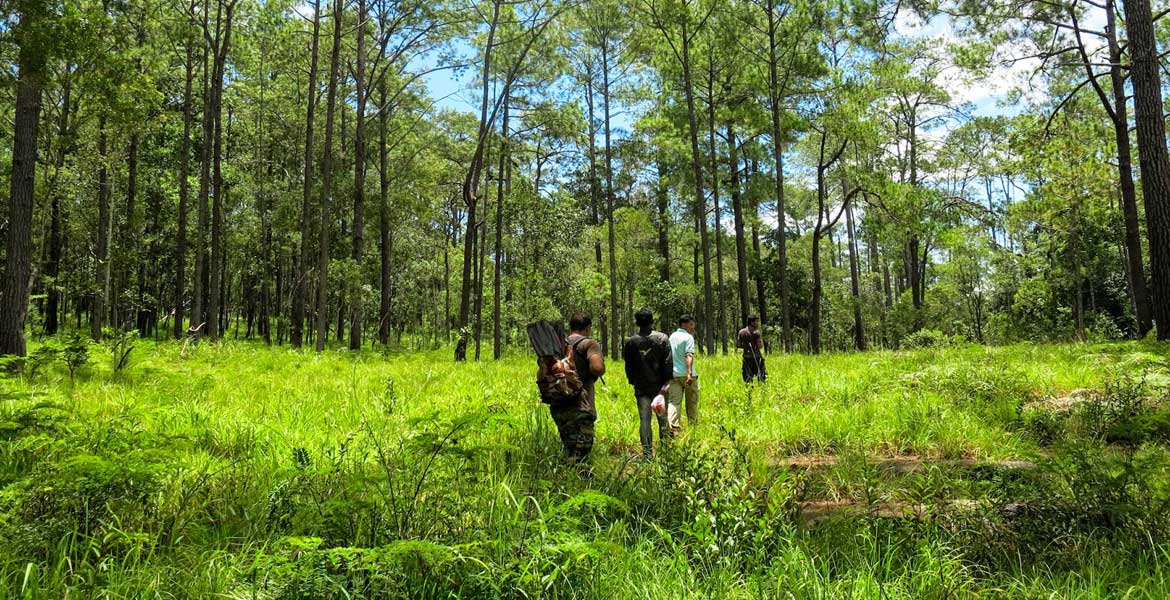 Kirirom National Park