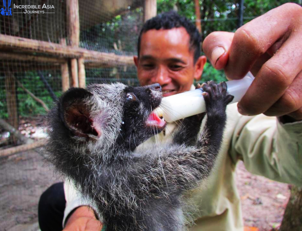 Phnom Tamao Wildlife Rescue Centre