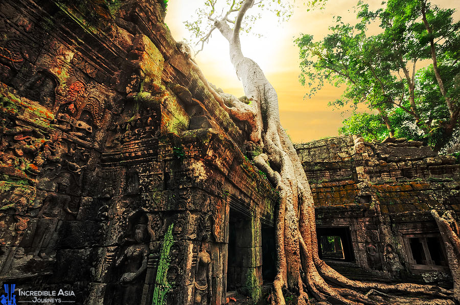 Ta Prohm Cambodia City tour