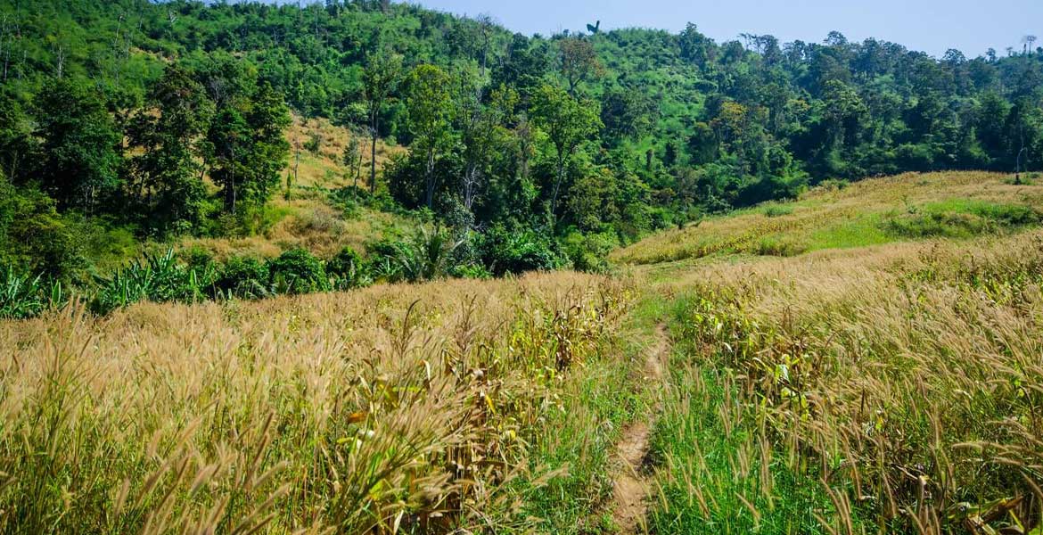 Oral Mountain Trekking