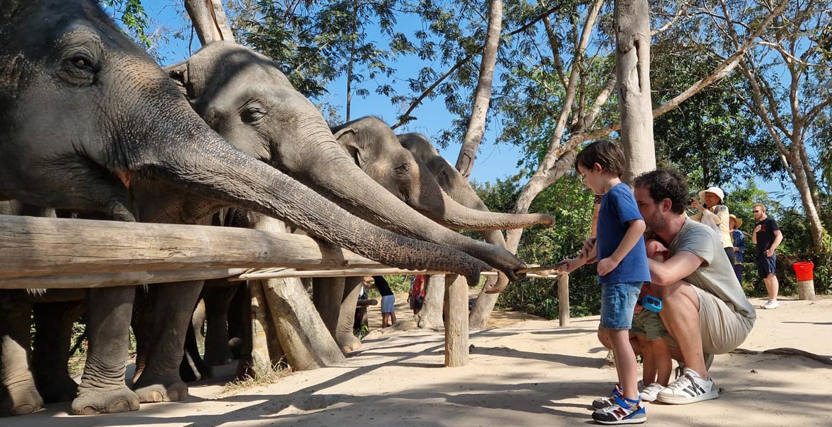 Phnom Kulen Elephant Forest Cycling